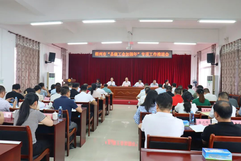 梧州市召開“縣級工會加強(qiáng)年”專項(xiàng)工作推進(jìn)會
