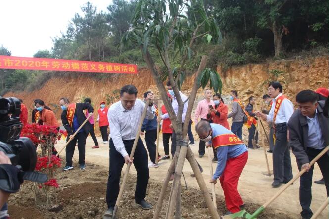 植樹(shù)造林，這群楷模這樣做
