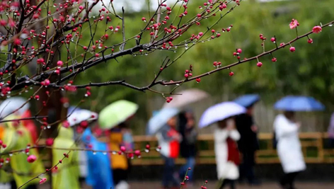 今日雨水！別忘了咱的老講究！