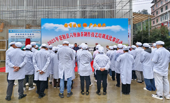 2025年蒼梧縣六堡油茶制作技藝培訓(xùn)及比賽活動(dòng)圓滿落幕！