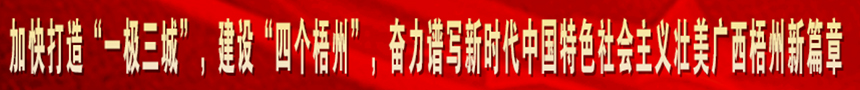 加快打造“一級(jí)三城市”，建設(shè)“四個(gè)梧州”，奮力譜寫(xiě)新時(shí)代中國(guó)特色社會(huì)主義壯美廣西梧州新篇章