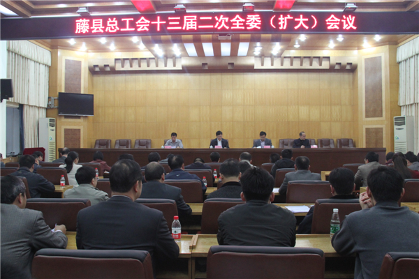 圖為藤縣總工會(huì)十三屆二次全委（擴(kuò)大）會(huì)議會(huì)場  張賢武攝影.JPG